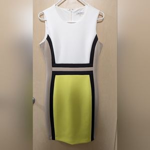 Size 10 Calvin Klein color block dress